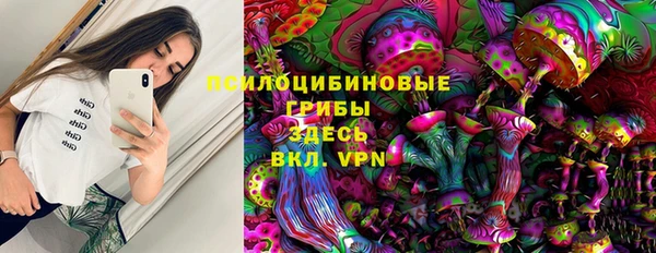 ГАЛЛЮЦИНОГЕННЫЕ ГРИБЫ Абаза