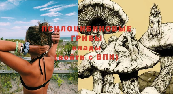 герыч Анжеро-Судженск