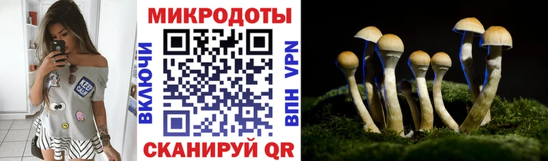 Галлюциногенные грибы прущие грибы  Дрезна 